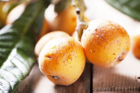 رب ازگیل وحشی و خواص آن