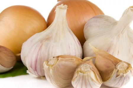 فرق سیر با موسیر چیست و از لحاظ خاصیت چه تفاوتی با هم دارند ؟