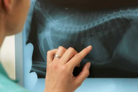 لیست آدرس و تلفن مراکز رادیولوژی و سونوگرافی اصفهان