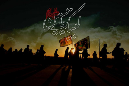چرا فقط امام حسین اربعین دارد ؟