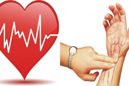 چگونه ضربان قلب را بالا ببریم؟