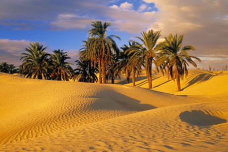 تاریخ روز جهانی بیابان زدایی در سال ۹۹ چه روزی است ؟