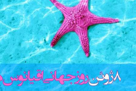 تاریخ روز جهانی اقیانوسها در سال ۹۹ چه روزی است ؟