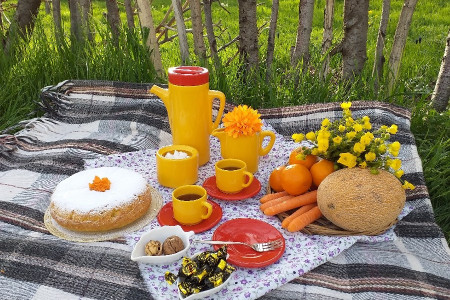 در فصل بهار عصرانه چه بخوریم ؟