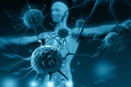 بررسی تأثیر روزه بر سیستم ایمنی بدن