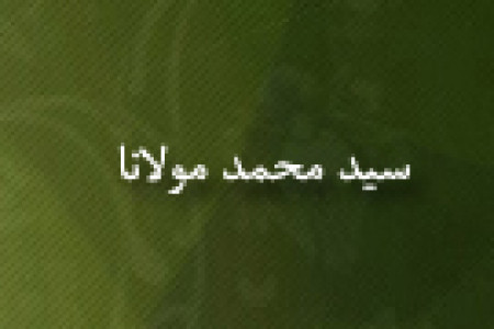 رحلت علامه سيدمحمد مولانا عالم و مؤلف(1363 ق)