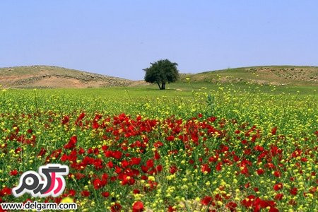 زیبایی های خوزستان در فصل بهار