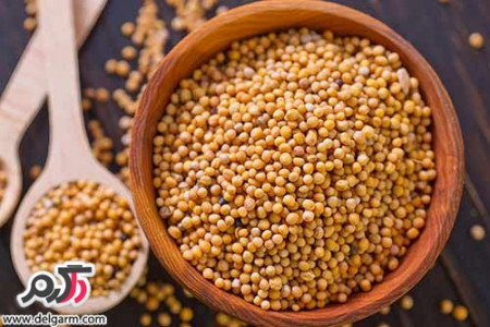 خاصیت بی نظیر گیاه خردل