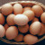چگونه بهترین و ارزانترین تخم مرغ را با تخفیف بخریم؟