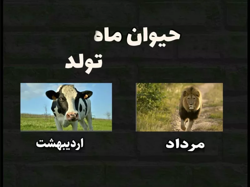 حیوان ماه تولد شما چیه ... ؟!