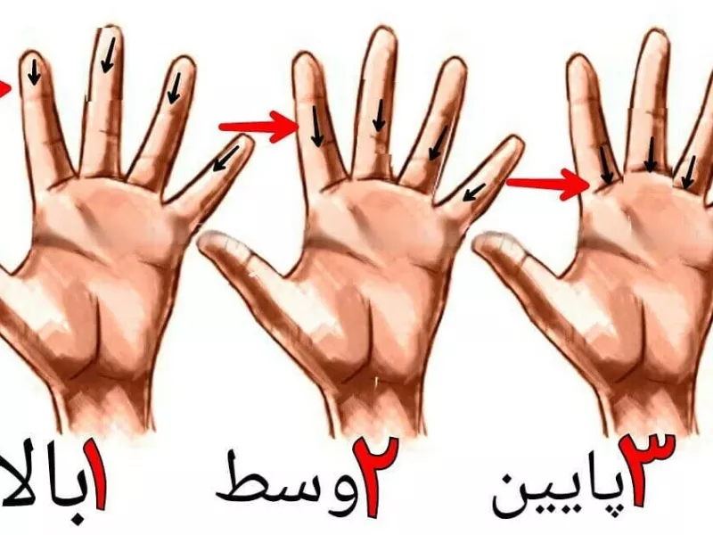 کدام بند انگشت شما از بقیه بلندتر است ؟