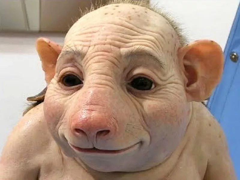 حیواناتی که با نقص ژنتیک عجیب و ترسناک بدنیا آمدند!