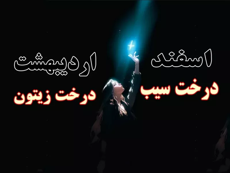 میدونی ماه تولدت نماد چه درختیه ؟!