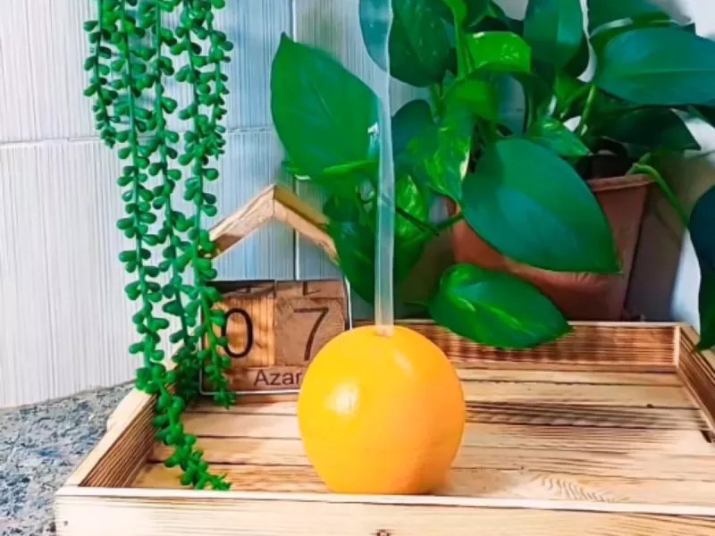 با 1 پرتقال و کمی قهوه | عود طبیعی با عطر بهشت درست کن !