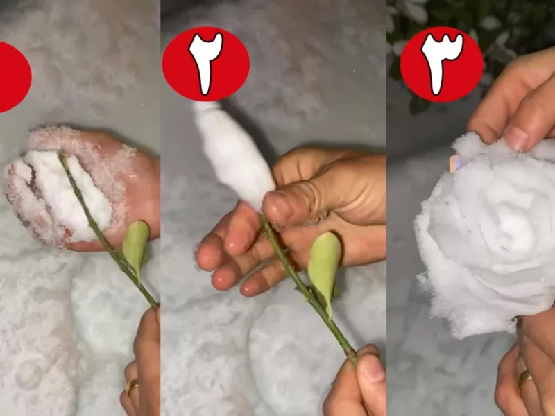 دیگه وقتی برف اومد آدم برفی درست نکن / به جاش این گل رز رو درست کن !
