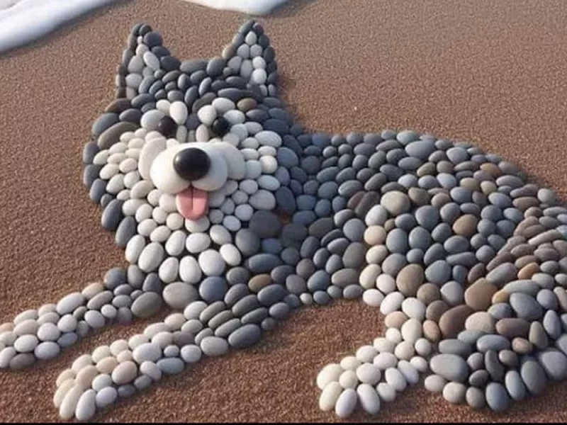 یادت نره رفتی شمال با صدف و سنگ های لب ساحل این طرح ها رو بسازی !