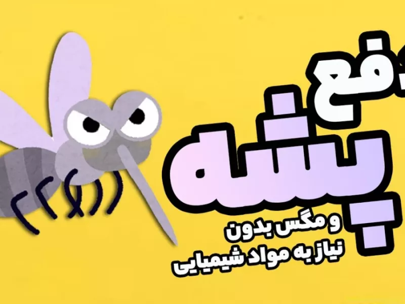 ریشه کن کردن پشه و مگس (ریز و درشت) بدون مواد شیمیایی !