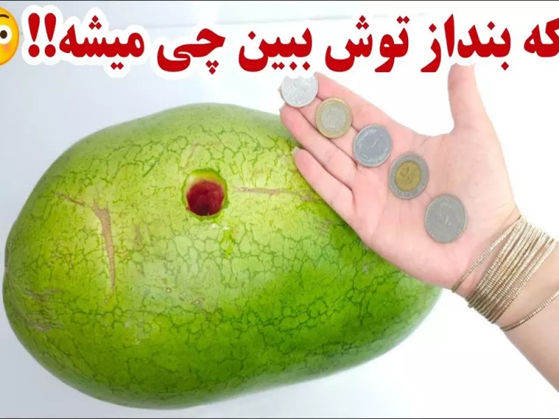 10 روش موثر و تضمینی نگهداری انواع سبزیجات و میوه برای مدت طولانی