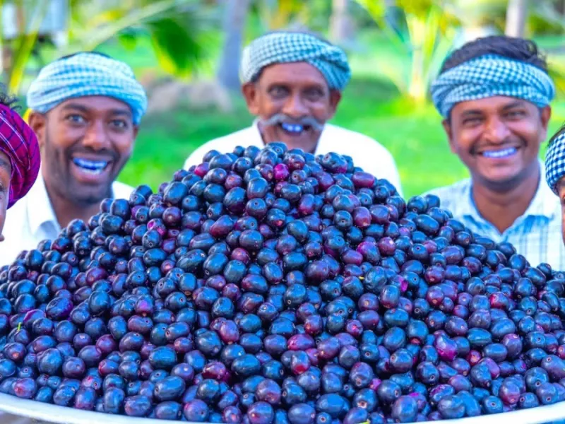 طرز تهیه مربای آبی ترین میوه دنیا