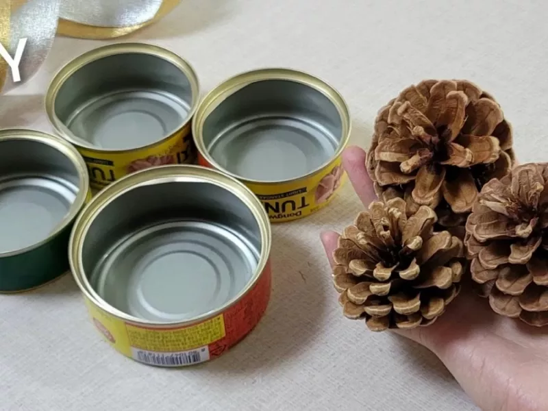 قوطی تن ماهی را دور نریزید و با آن به درآمد بالا برسید