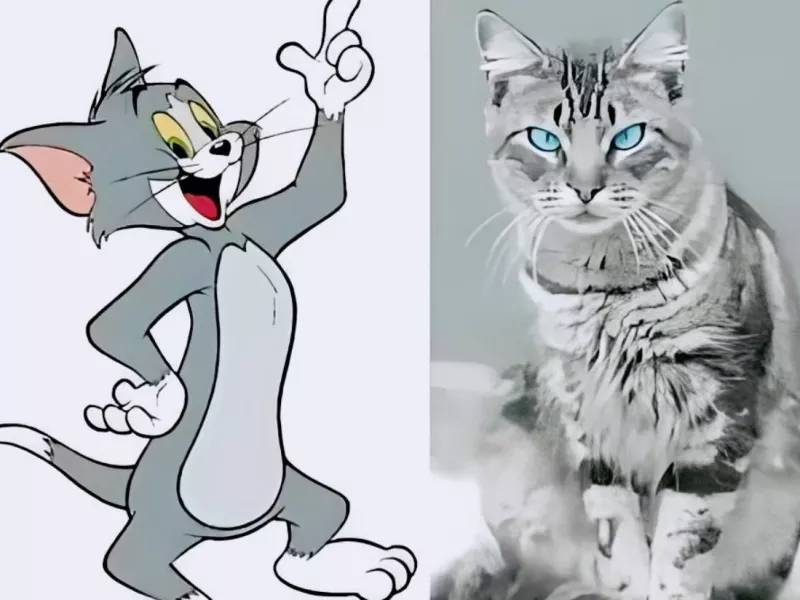 تام و جری در دنیای واقعیت !!