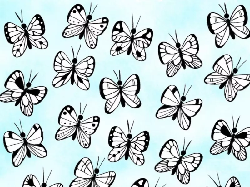 20 ثانیه فرصت دارید پروانه متفاوت را پیدا کنید