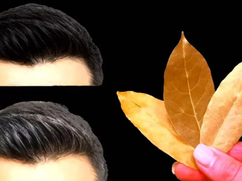 طرز تهیه معجون رفع سفیدی مو توسط یک بانوی اروپایی با برگ بو / 100% موثر