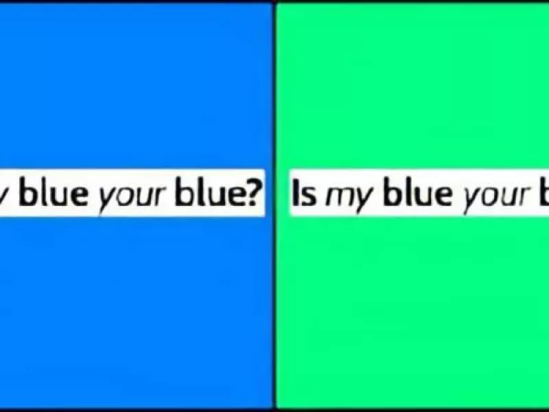 چالش جهانی تشخیص رنگ ؛ آبی است یا سبز؟