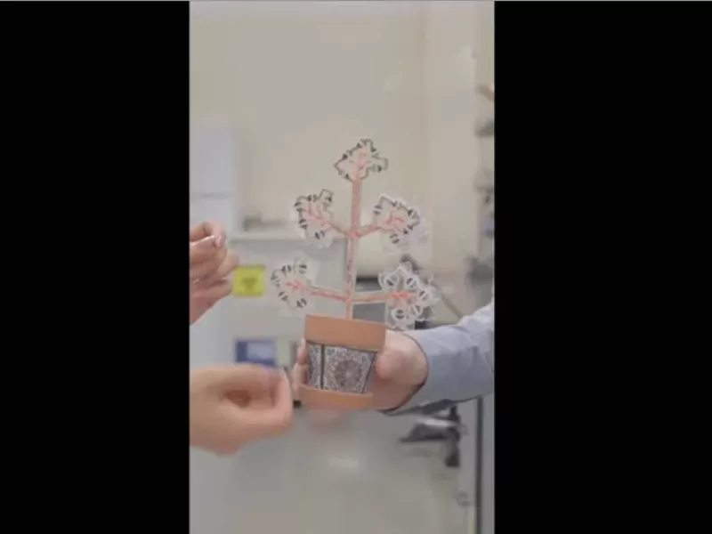 نوآوری دانشمند ایرانی/ ساخت گیاهی که موبایل شارژ می کند