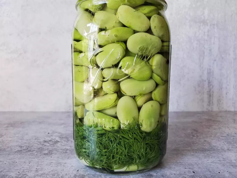 ساده ترین روش تهیه ترشی باقلا، منبع خوب انرژی