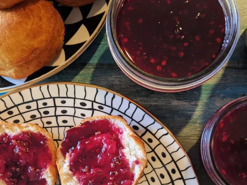 طرز تهیه مربای میوه کاکتوس (گلابی خاردار)