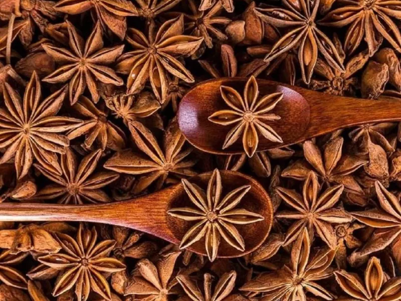 با خواص بادیان ستاره ای آشنا شوید !