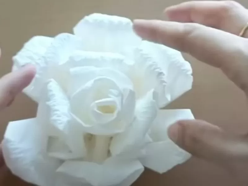 ساختن گل محمدی با دستمال کاغذی / فیلم