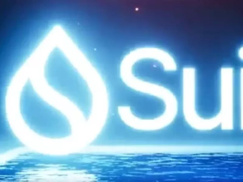 بهترین میم کوین شبکه سویی کدام میم است / آیا زمین بازی میم کوین ها عوض می شود