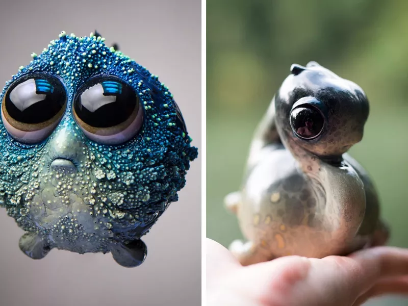 مجسمه های دست ساز به شکل انواع حیوانات که شما را شگفت زده میکند!