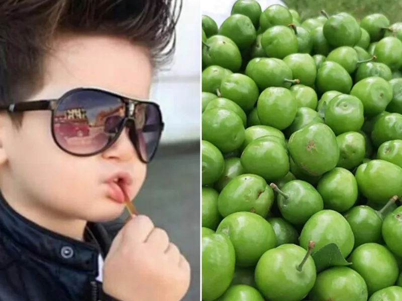 داداشی که میفهمه گوجه سبز دوست داری درختشو میکاره بعدش میچینه میاره واست چیه؟