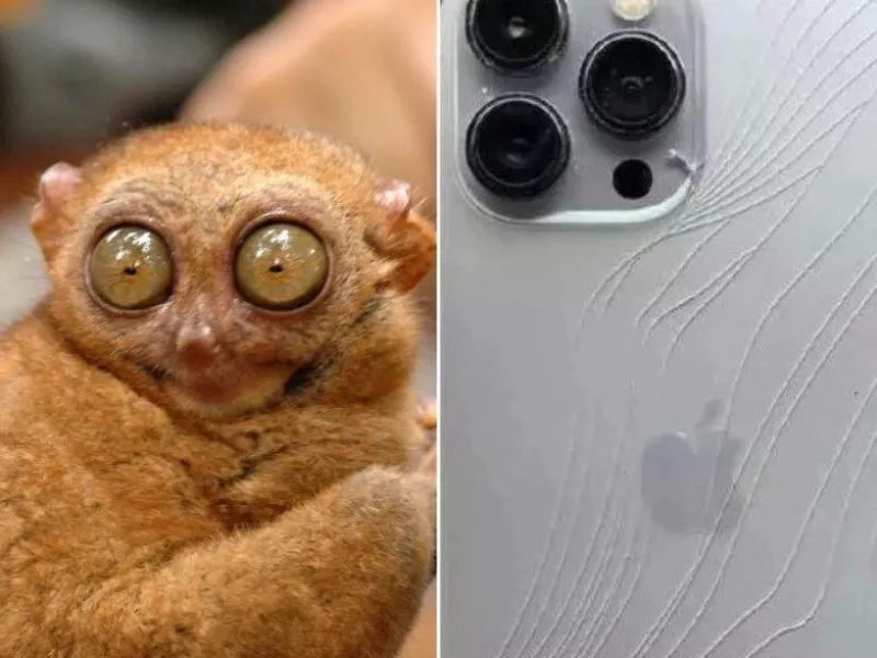 نه مامانم خریده نه بابام خودم تو خونه کار کردم و خریدم!!!