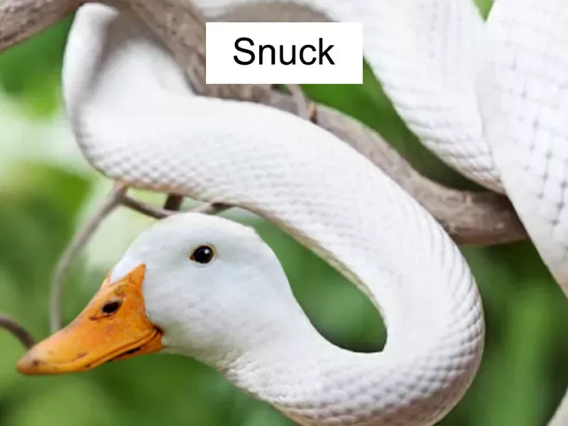 احمقانه تر از این فتوشاپ ها دیده بودید؟