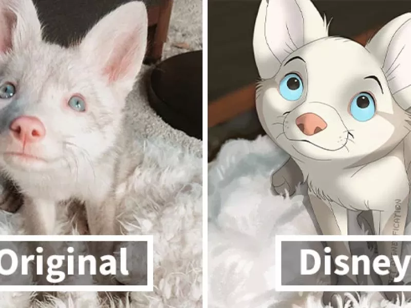 باورت میشه این تصاویر انیمه ای ساخته شده بامزه حیوانات خانگی مردم معمولی هستند؟