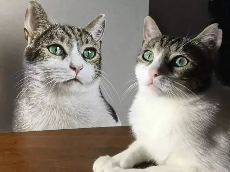 این نقاشی های شگفت انگیز با واقعیت مو نمی‌زند !