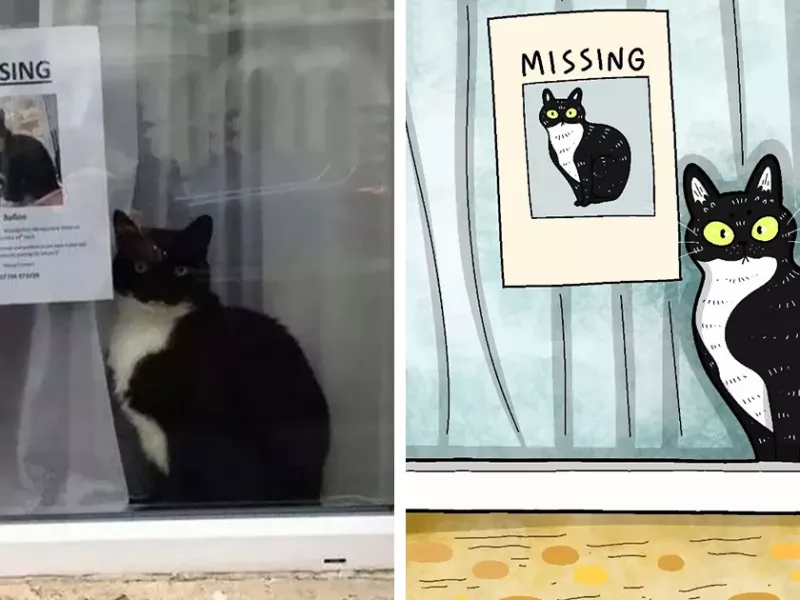 وقتی به عکس های گربه های ملوسی چاشنی طنز اضافه کنیم !