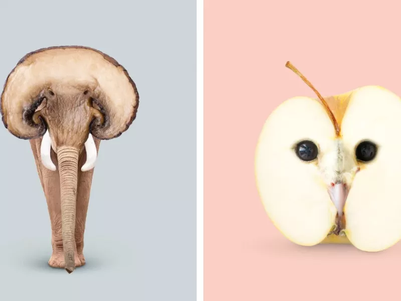 اگه اشیاء و حیوانات مختلف را با هم ترکیب کنی موجودات عجیبی را خواهی دید !