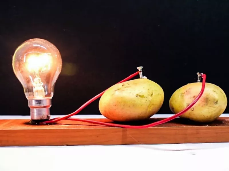 چگونه لامپ های 220 ولتی را با استفاده از سیب زمینی روشن کنیم !