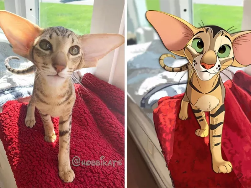 مردم عکس های حیوانات خانگی خود را برای این هنرمند می فرستند و او آنها را به سبک دیزنی می کند !