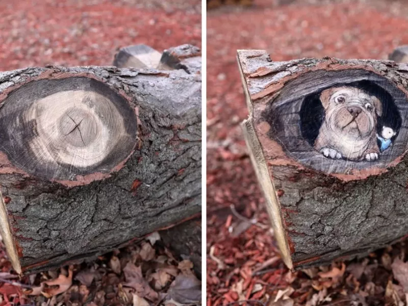 وقتی با یک مقدار خلاقیت می تونی یک اثر هنری فوق العاده زیبا درست کنی !