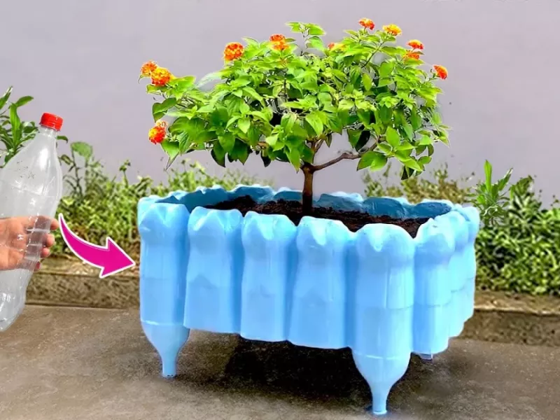 ایده های خلاقانه از گلدان های گل زیبای سیمانی / دیگه پول به خرید گلدان نده