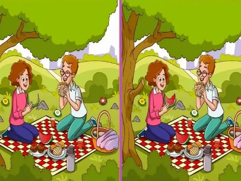 تست بینایی / به تصویر پیک نیک دو نفره نگاه کن و بگو اشتباه تصویر چیه؟