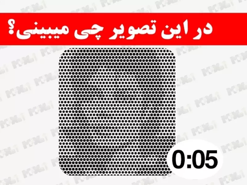 آماده ای برای تست بینایی / در این تصویر چی میبینی؟