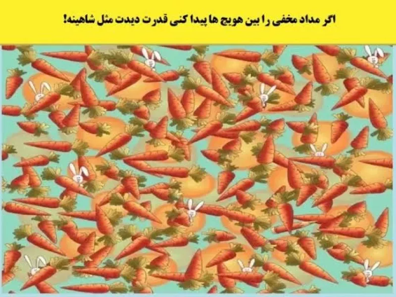 تست بینایی/ با قدرت چشمانت بگو بین هویج ها مداد مخفی کجاست؟