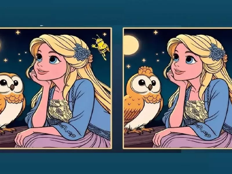 تست بینایی/ تفاوت بین تصاویر راپونزل مو طلایی چیه؟